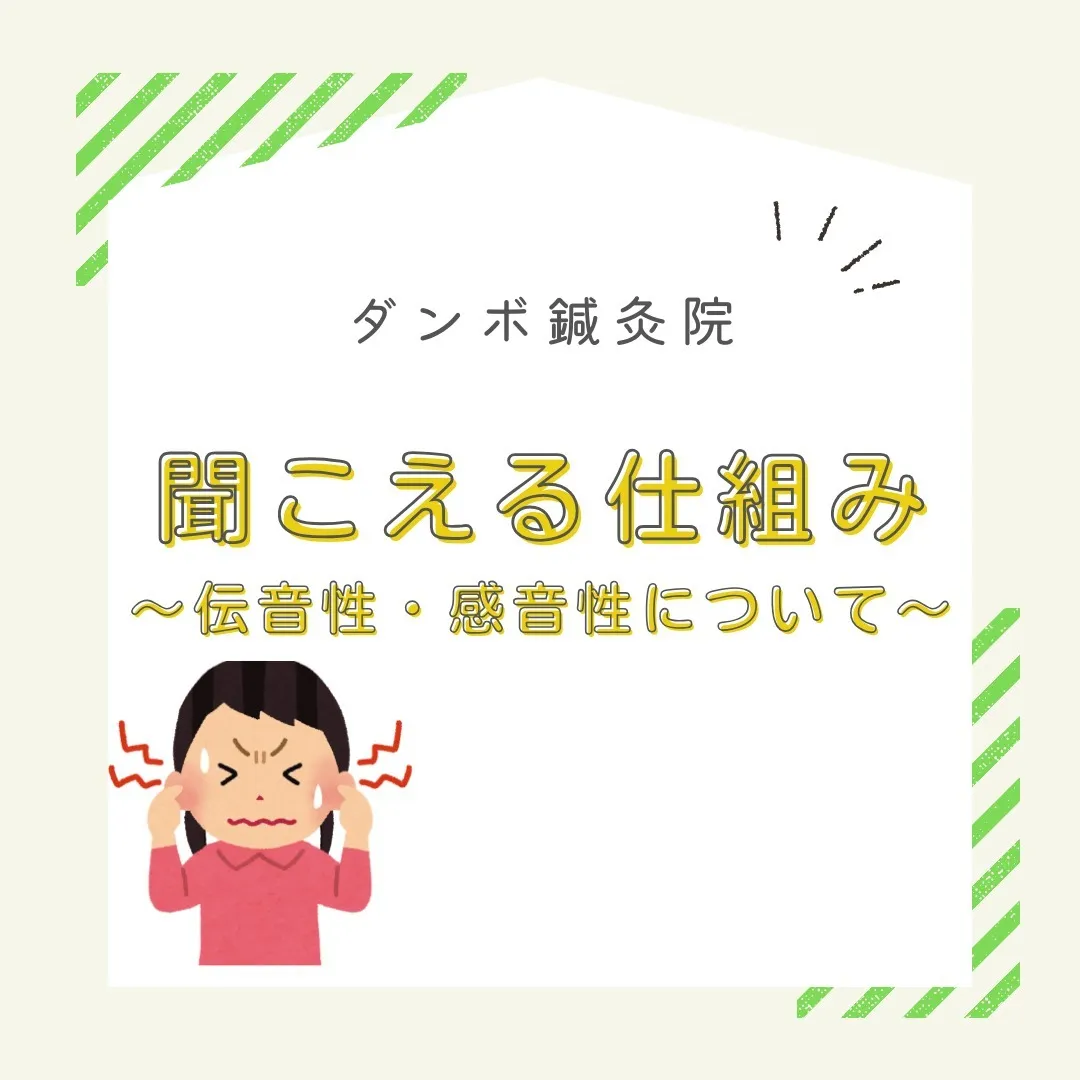 皆さん！今日は「音が聞こえる仕組み」についてご紹介します。