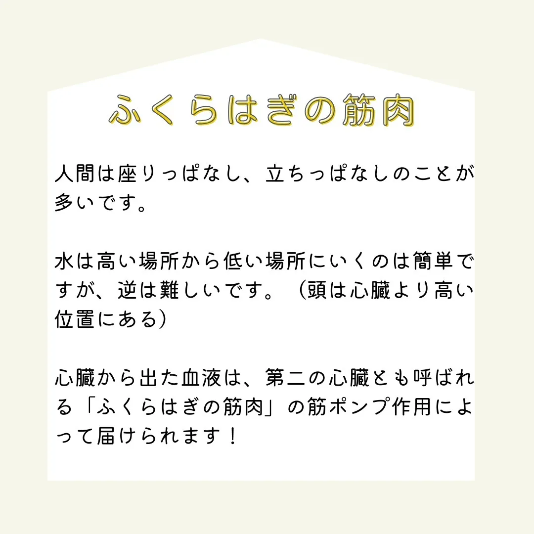 当鍼灸院では、耳の健康をサポートする専門的な施術を提供してい...