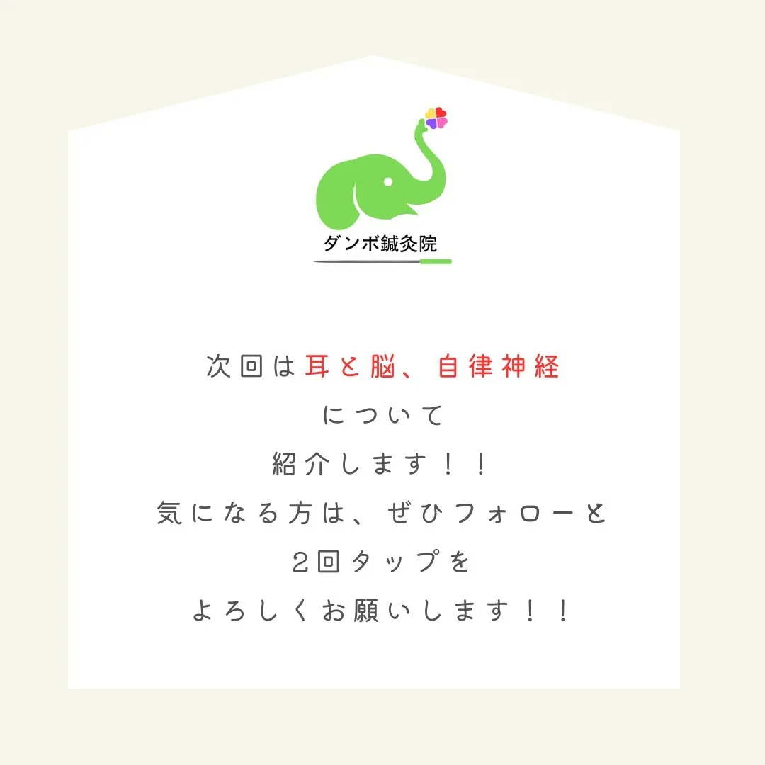 🌿こんにちは！