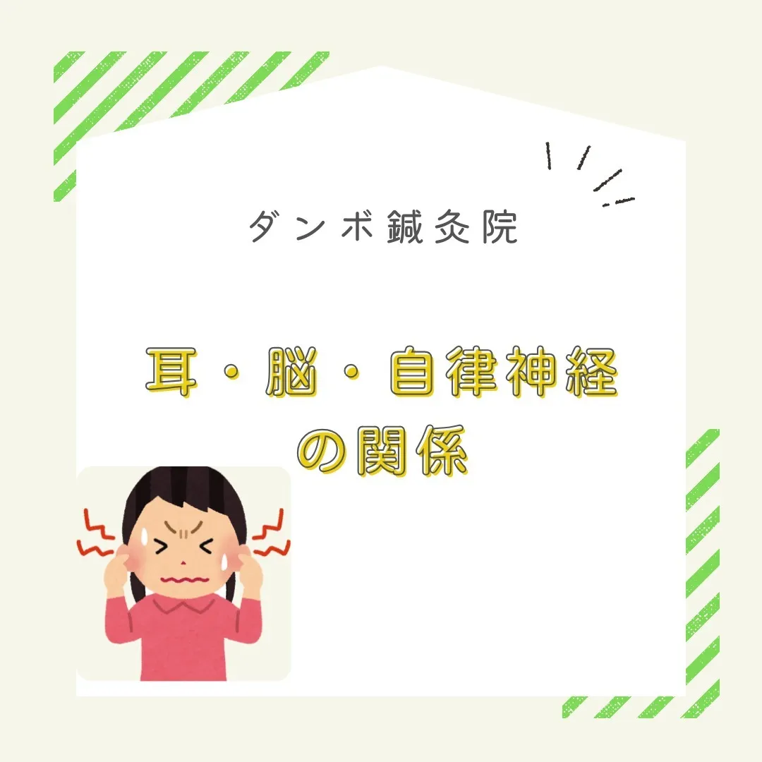 🎶 みなさん、サーカディアンリズムって知ってますか？🤔 私た...