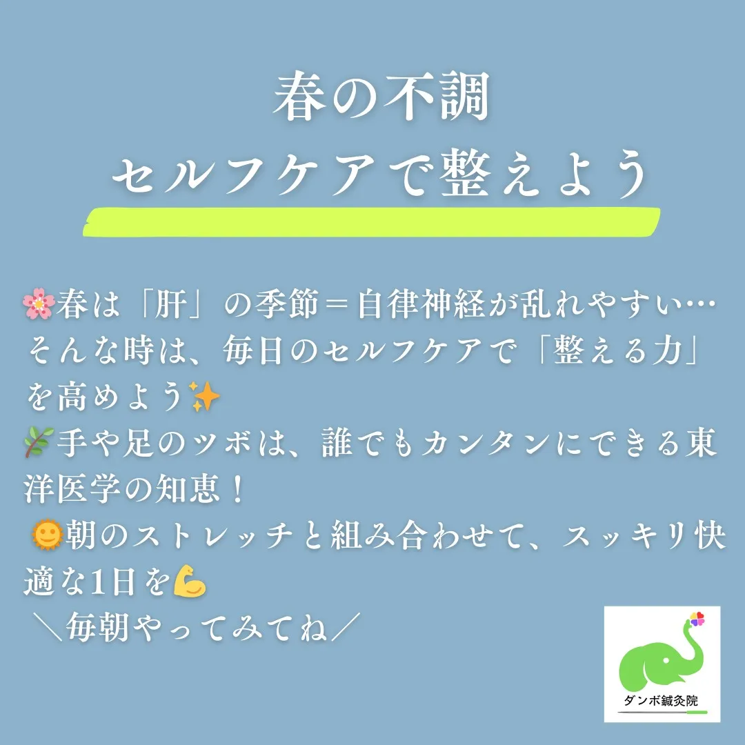 🌸 春は「気」が上に昇る季節。