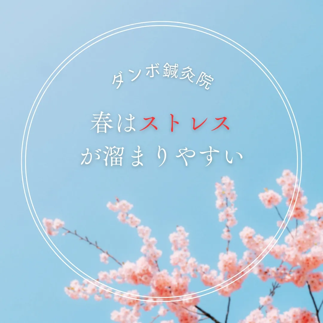 🌸新年度、新しい環境、人間関係…