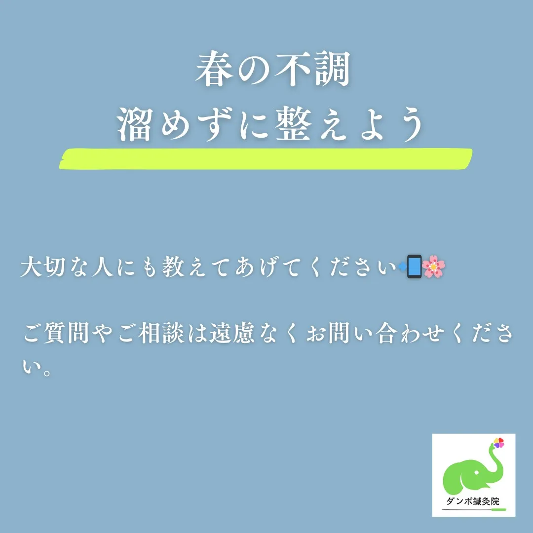 🌸新年度、新しい環境、人間関係…